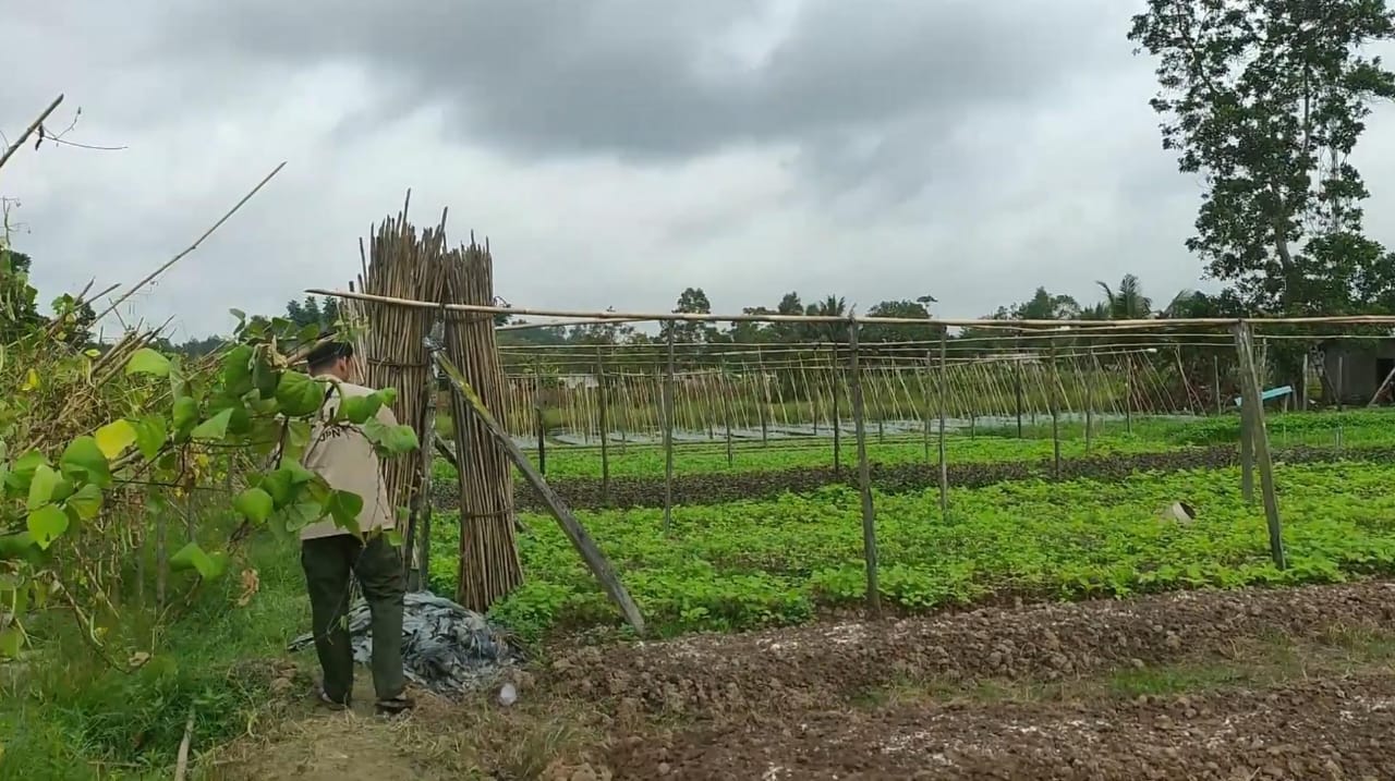 Desa Tani Bhakti Menjadi Pionir Agrowisata di Tepian Kutai Kartanegara