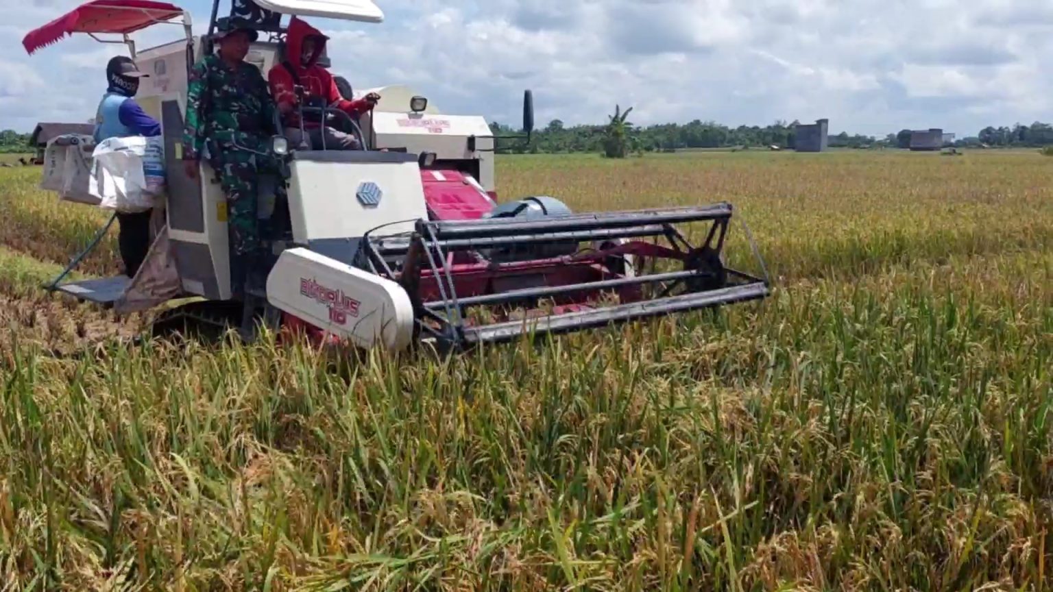 Revolusi Lumbung Padi Kukar: Disketapang Kucurkan Rp6 Miliar untuk Ketahanan Pangan