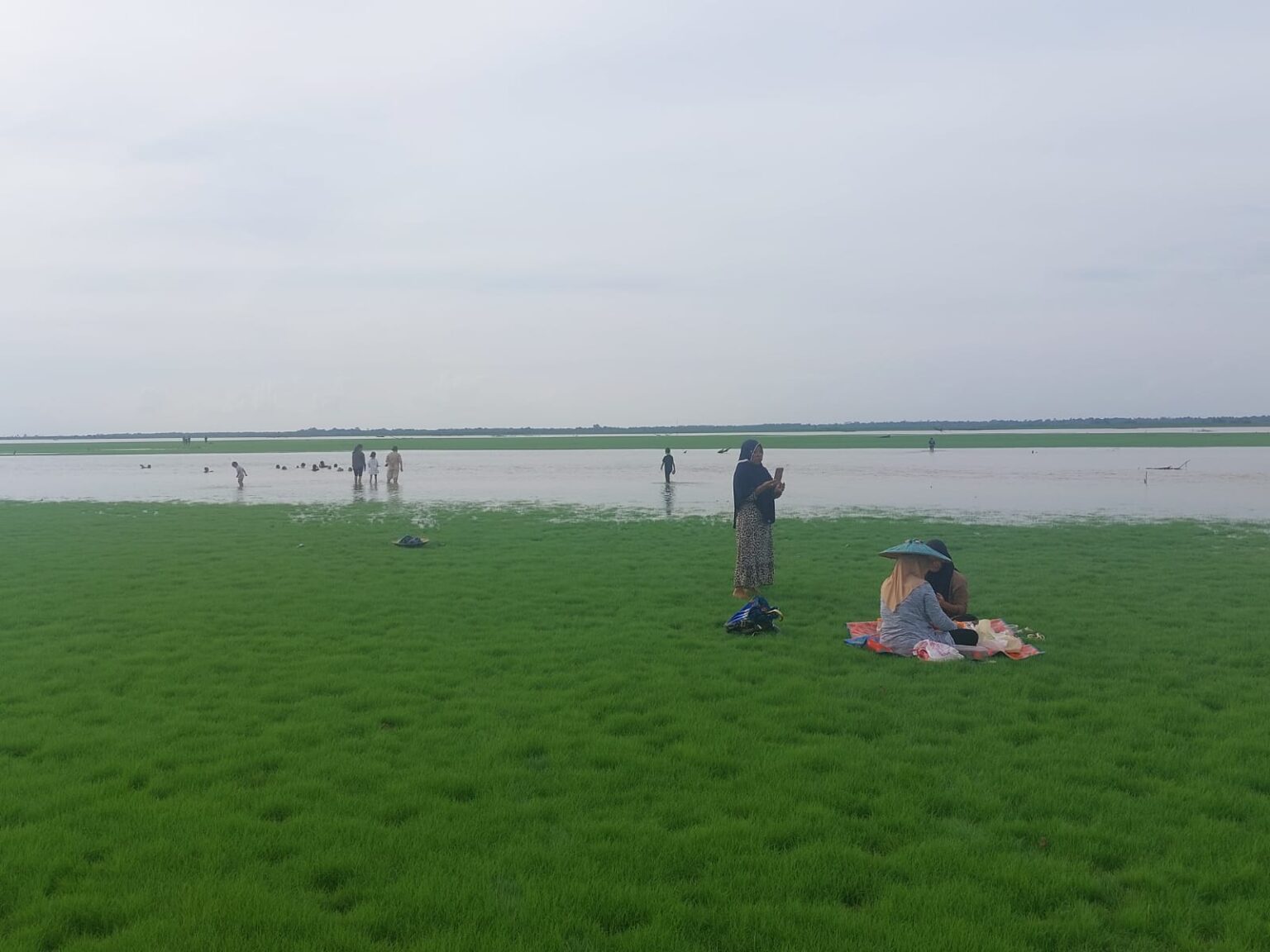 Jendela Surga Danau Semayang di Kutai Kartanegara